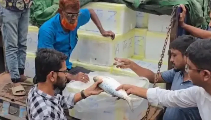 বেনাপোল বন্দর দিয়ে ভারতে গেল ৯৯ টন ইলিশ