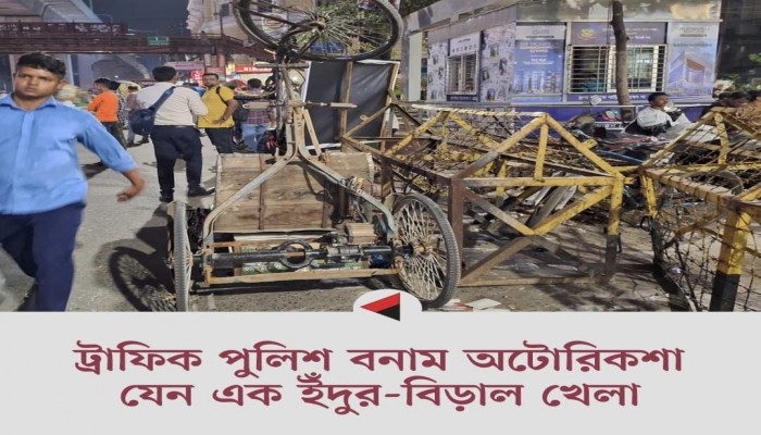 ট্রাফিক পুলিশ বনাম অটোরিকশা, যেন এক ইঁদুর-বিড়াল খেলা