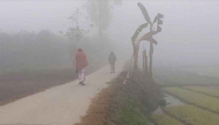 ​তেঁতুলিয়ায় কনকনে শীতে বিপর্যস্ত জনজীবন, তাপমাত্রা ১২ ডিগ্রি