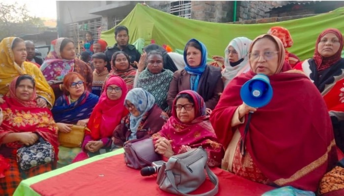 ভোটের মাঠ চষে বেড়াচ্ছেন মির্জা ফখরুলের সহধর্মিণী রাহাত আরা