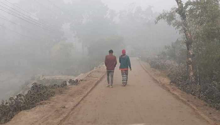 ​চার জেলায় বইছে শৈত্যপ্রবাহ, বিস্তার লাভ করার আভাস