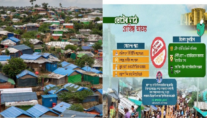 রোহিঙ্গা ক্যাম্পে বিভিন্ন সশস্ত্র দল উপস্থিত রয়েছে এবং অবৈধ অস্ত্র মজুদ আছে।