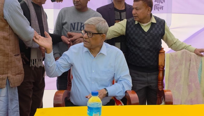 দেশে শুধু দুটোই মার্কা, নৌকা আর ধানের শীষ// দাঁড়িপাল্লা কিন্তু স্বাধীনতার বিপক্ষে ছিল।