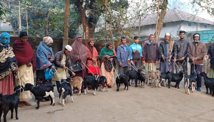 ঠাকুরগাঁওয়ে অসহায় দরিদ্রদের মাঝে ছাগল ও টিউবল বিতরণ