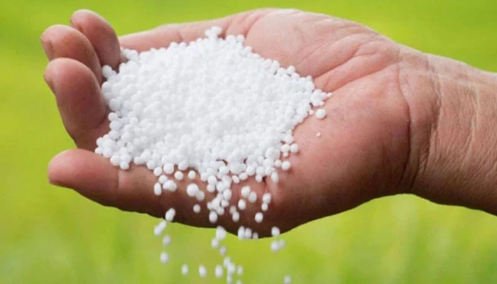 ​বাফার গুদামে বিএনপি নেতার দাপট, সিন্ডিকেটে সারের তীব্র সংকট