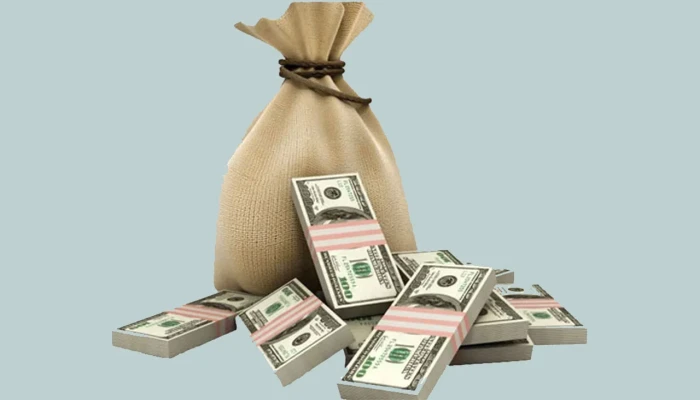 ​বিদেশি ঋণ ছাড়াল ১১৩ বিলিয়ন ডলার