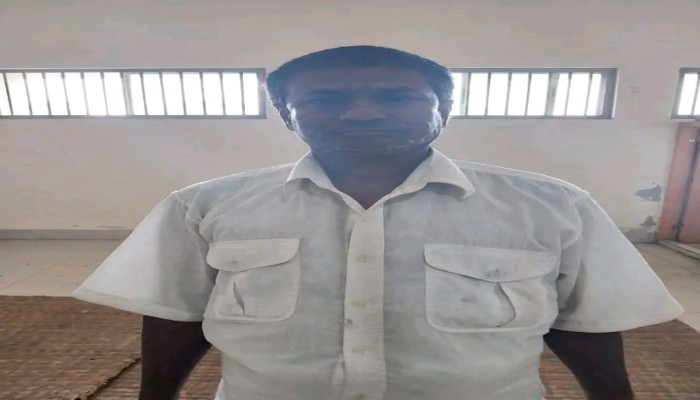 দৌলতখানে ১২ বছরের শিশুকে ধর্ষণের চেষ্টায় গ্রেপ্তার ২