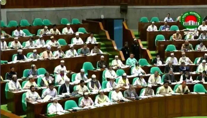 ​সংসদে তারেক রহমান-আরাফাত রহমানকে ‘শিশু মুক্তিযোদ্ধা’ ঘোষণার দাবি