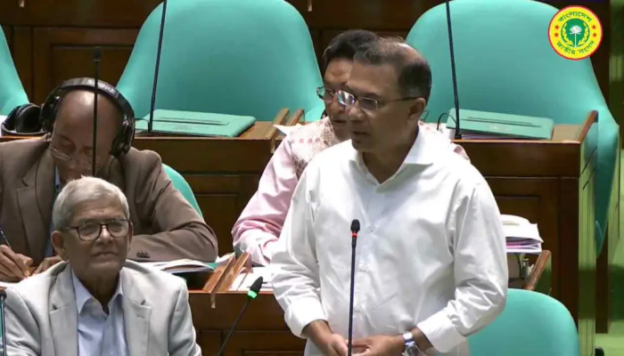 জাতীয় সংসদে প্রধানমন্ত্রী বাংলাদেশে পেপ্যালের কার্যক্রম শুরু করতে কমিটি গঠন হয়েছে নিজস্ব প্রতিবেদক ১৫ এপ্রিল ২০২৬, ১৩:৪১