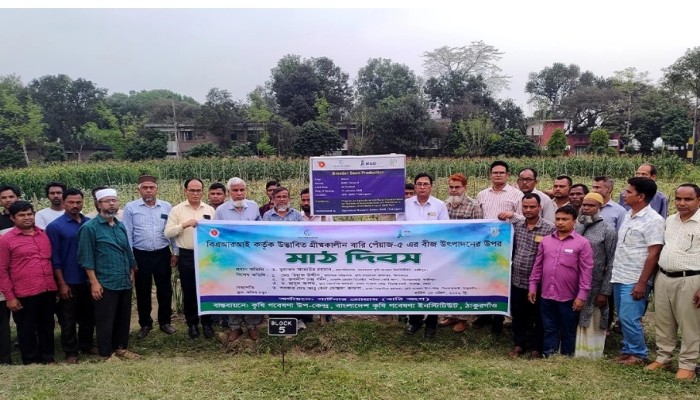 ঠাকুরগাঁওয়ে বারি পেঁয়াজ-৫ বীজ উৎপাদনে মাঠ দিবস অনুষ্ঠিত