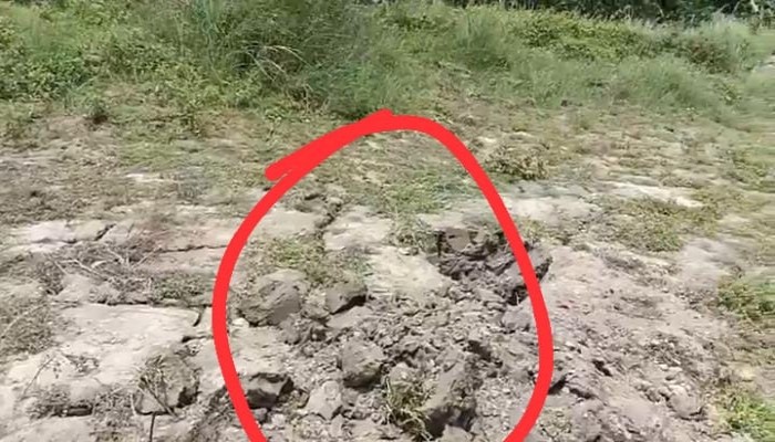 টাঙ্গাইলের মির্জাপুরে মাটি খুঁড়ে অজ্ঞাত মা ও নবজাতকের মরদেহ উদ্ধার করেছে পুলিশ।