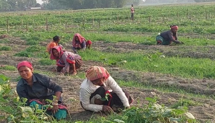 ৩০০ টাকায় ১০ ঘণ্টা খাটুনি, শেষ হয় না রূপসীদের জীবনযুদ্ধ