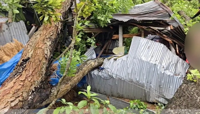 ঠাকুরগাঁওয়ে কালবৈশাখীর তাণ্ডব, বসতঘর বিধ্বস্ত