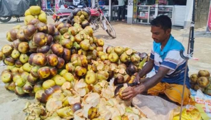 রাজশাহীতে  চাহিদা বাড়ছে তালশাঁসের