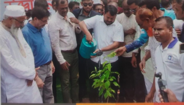 বৃক্ষ রোপন উদ্বোধন করলেন  রাসিক প্রশাসক রিটন