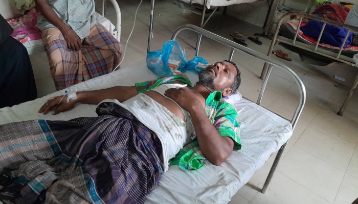 ঠাকুরগাঁওয়ে জমি নিয়ে বিরোধের জেরে প্রতিপক্ষের হামলায় আহত-৩