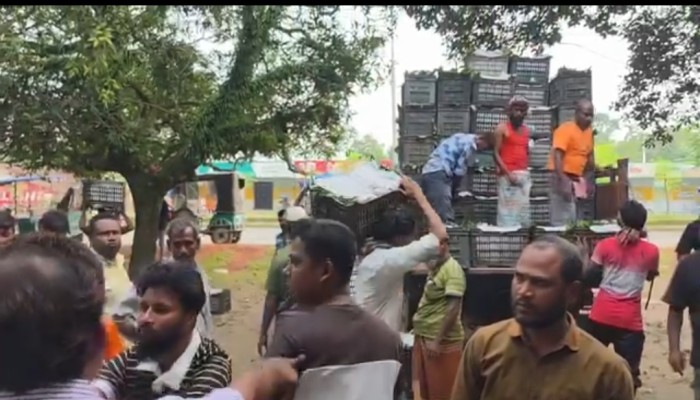 ঠাকুরগাঁওয়ের মুন্সিরহাটে লিচুর গাড়ি লোডকে কেন্দ্র করে সংঘর্ষ