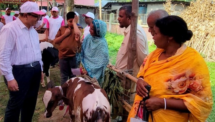 ঠাকুরগাঁওয়ে প্রান্তিক খামারিদের উন্নত জাতের  বাছুর প্রদর্শনী প্রতিযোগিতা ও পুরষ্কার বিতরণী
