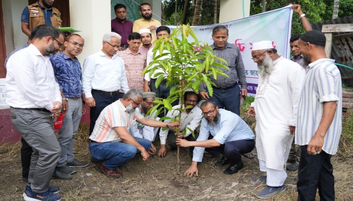 পবিপ্রবি'র উপাচার্যকে সৃজনী বিদ্যানিকেতনের সংবর্ধনা, দায়িত্ব হস্তান্তর ও বৃক্ষরোপণ কর্মসূচি অনুষ্ঠিত