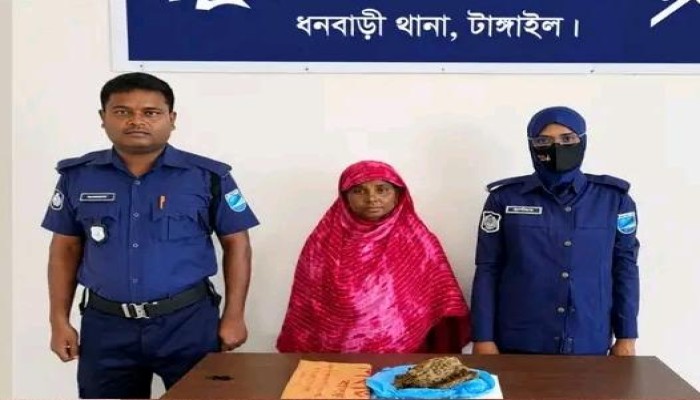 টাঙ্গাইলের ধনবাড়ীর বন্দবেতাল থেকে ২০০ গ্রাম গাঁ*-জা উদ্ধারসহ ১ জন মহিলা গ্রেফতার...