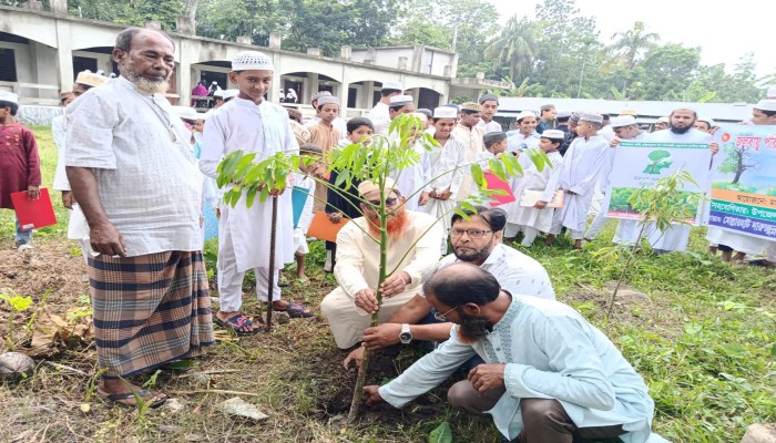 কালকিনির মোল্লারহাট দারুচ্ছুন্নাত ছালেহীয়া ফাযিল (ডিগ্রি) মাদরাসায় বৃক্ষরোপণ ও জলবায়ু সচেতনতা কর্মসূচি