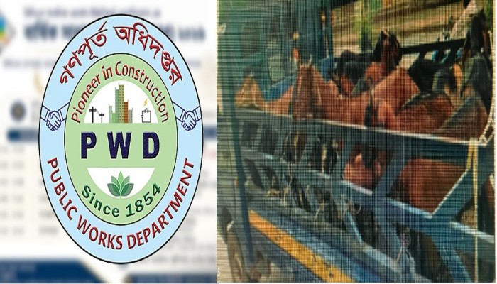 মো. শামসুদ্দোহাকে বিদায়ী সংবর্ধনা নামে ৫০ লাখ টাকার চাঁদা আদায়ের অভিযোগ   ঢাকা সার্কেল-৪-এর তত্ত্বাবধায়ক প্রকৌশলী মো. মনিরুজ্জামান