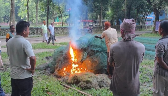 ঠাকুরগাঁওয়ের সালান্দর বিলে অভিযান: প্রায় লাখ টাকার নিষিদ্ধ জাল জব্দ, ধ্বংস