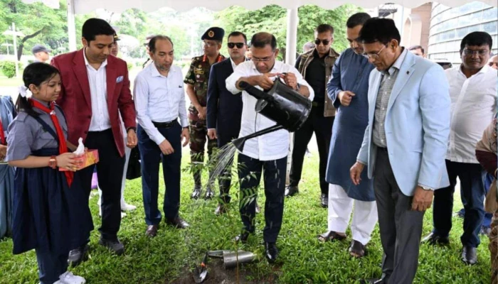 সবাই একটি করে গাছ লাগাবে: প্রধানমন্ত্রী