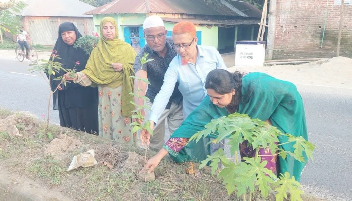 সবুজে সাজুক পথ, নির্মল হোক আগামী দিনের ঠাকুরগাঁও গোবিন্দ নগর মুন্সিরহাটে ডিভাইডারে দুই শতাধিক ফুল  গাছ রোপণ