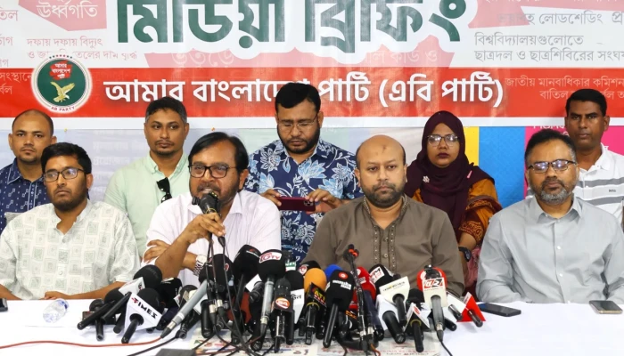৬ মাসে সরকারের অগ্রগতি হতাশাজনক: এবি পার্টি
