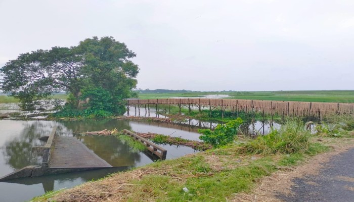 গুরুত্বপূর্ণ সড়কের সেতুটি ধসে পড়ে আছে, দেখার কেউ নেই!