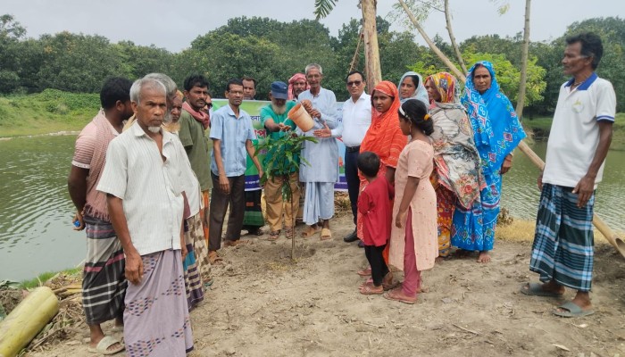 রানীহাটি পাড়দিয়ার গুচ্ছগ্রামে সামাজিক বনায়ন কর্মসূচির আওতায় বৃক্ষরোপণ