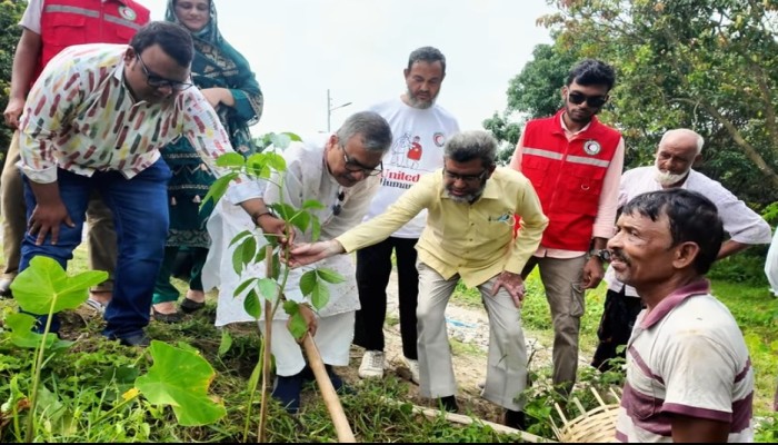 চাঁপাইনবাবগঞ্জে রেড ক্রিসেন্টের উদ্যোগে নবনির্মিত সড়কে বৃক্ষরোপণ