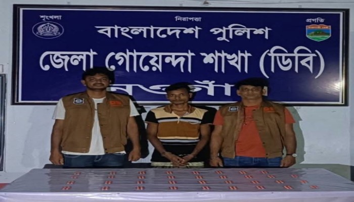 নওগাঁ জেলা গোয়েন্দা পুলিশ (ডিবি'র) বদলগাছি এবং সাপাহারে মাদক বিরোধী অভিযানে ১০ গ্রাম হেরোইন ও ৩৫০ পিস ট্যাপেন্টাডল ট্যাবলেট সহ ২ জন মাদক কারবারী গ্রেফতার""