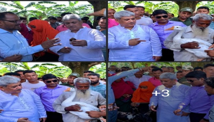 পবায় ফ্রি টিকায় সুরক্ষিত হচ্ছে ৮৩ হাজার গবাদিপশু ও হাঁস-মুরগি, স্বস্তিতে প্রান্তিক খামারিরা