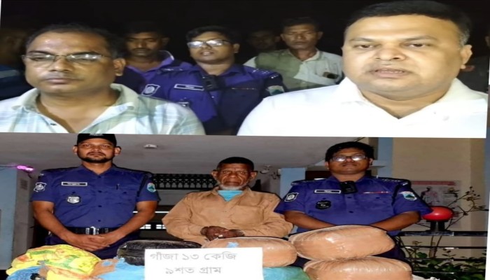 নাচোলে পুলিশের অভিযানে বিপুল পরিমাণ গাঁজাসহ  গ্রেফতার ১