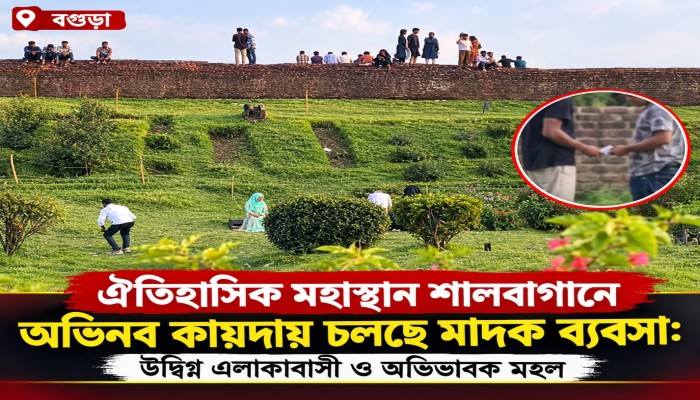 ঐতিহাসিক মহাস্থান শালবাগানে অভিনব কায়দায় চলছে মাদক ব্যবসা: উদ্বিগ্ন এলাকাবাসী ও অভিভাবক মহল