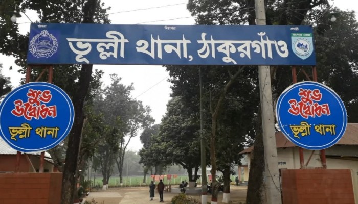 সাপের কামড়ে ঠাকুরগাঁওয়ে বৃদ্ধার নারীর  মৃত্যু